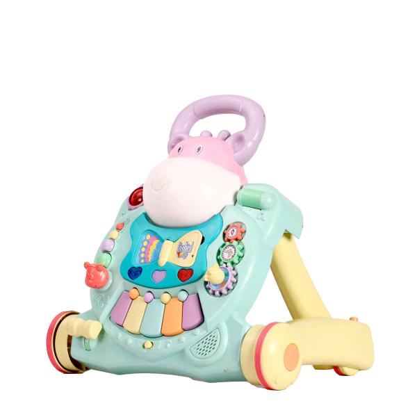 STEELBIRD RAINBOW MELODY PUSH WALKER